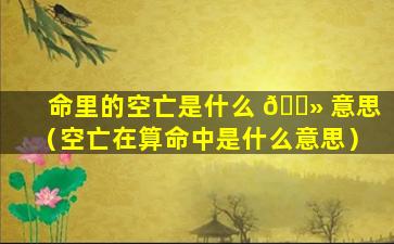 命里的空亡是什么 🌻 意思（空亡在算命中是什么意思）